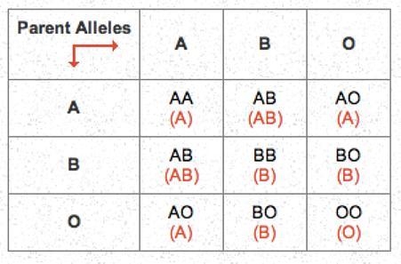 1. What are the genotypes possible for a person who has: A blood? _______ B blood-example-1