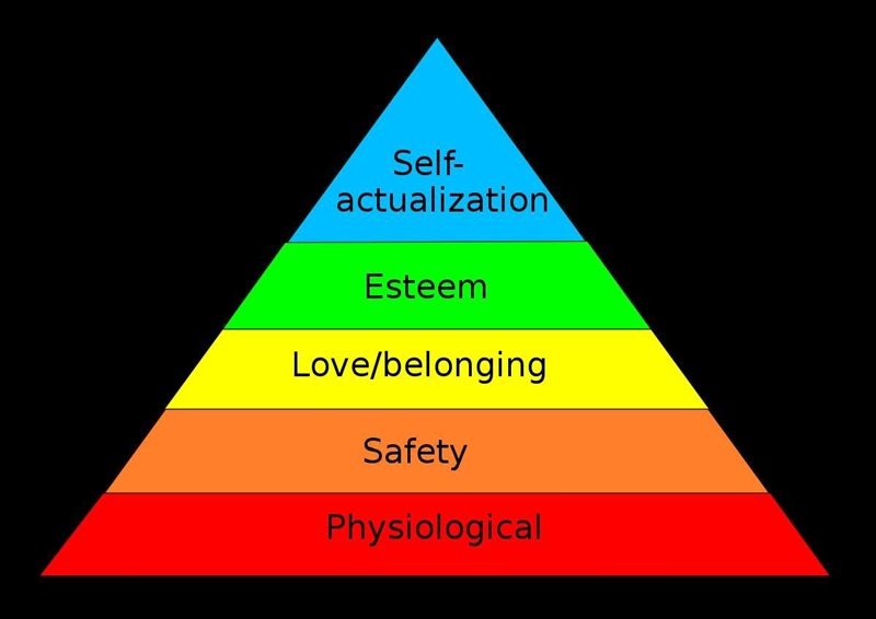 Re-read the following line from section 3 :“Social Needs”: “An anorexic, for example-example-1