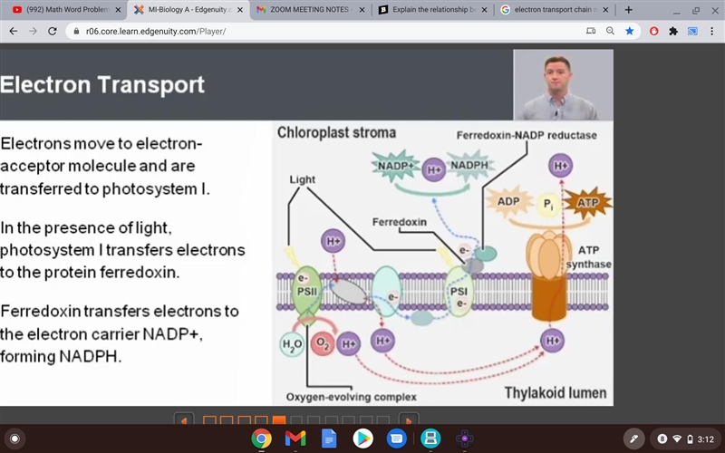 Which corrections would change the diagram to accurately model the light-dependent-example-1