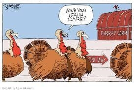 How does satire create meaning in this cartoon? The expressions on the turkeys' faces-example-1