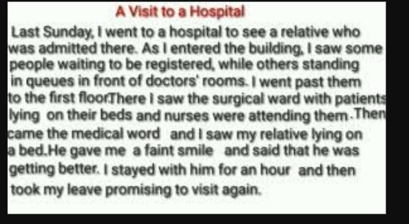 An eassy on a visit to the hospital ​-example-1