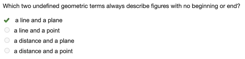 Which two undefined geometric terms always describe figures with no beginning or end-example-1