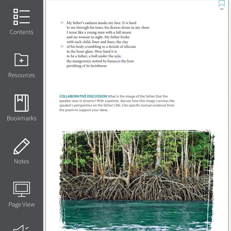 4. Evaluate Are lines 18–19, "the mangrove netted by lianas, the host perishing-example-1