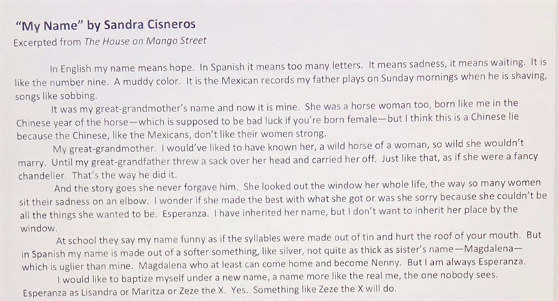 How does the narrator establish a conflict between her Mexican identity and the English-example-1