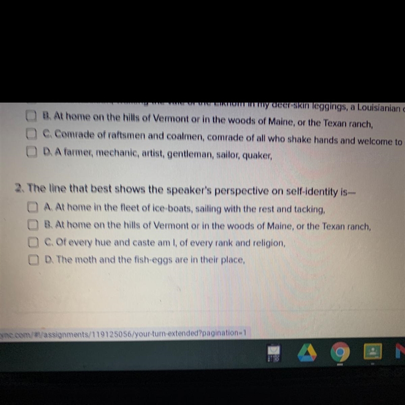 2. The line that best shows the speaker's perspective on self-identity is- A. At home-example-1