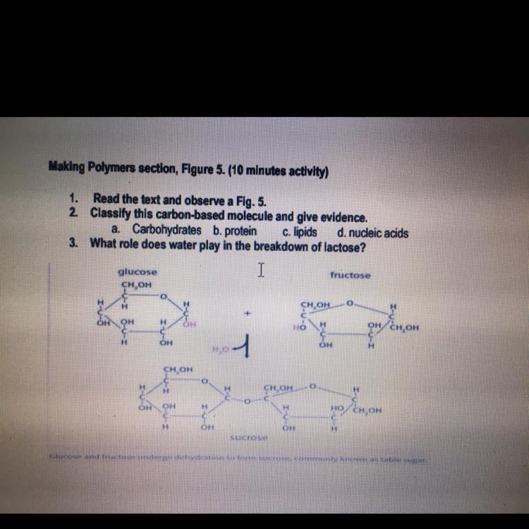 What Carbon molecule is this,give evidence and what role does water play in the breakdown-example-1