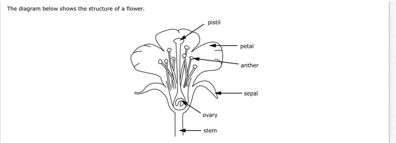 Help me please this is science-example-1