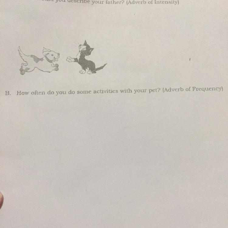 How often would you do some activities with your pet?(Adverb of Intensity) Pls answer-example-1