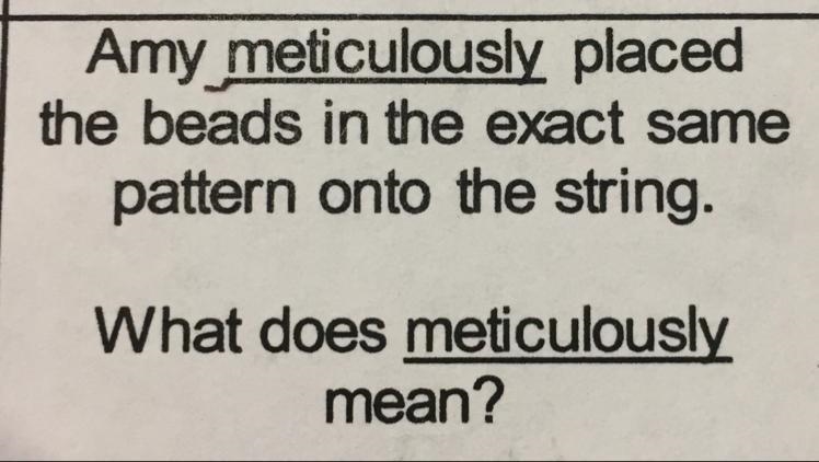 What does meticulously mean? I need help ASAP pls-example-1