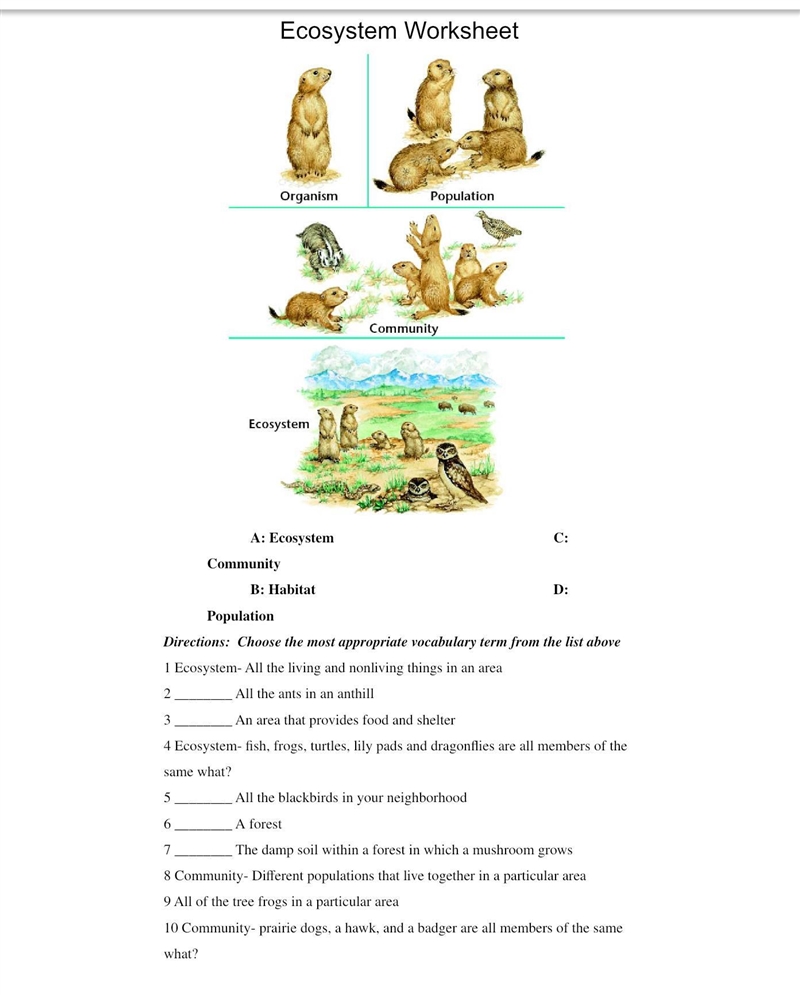 What are the answers to this I need help, it’s due Friday at 4:00 pm science class-example-1