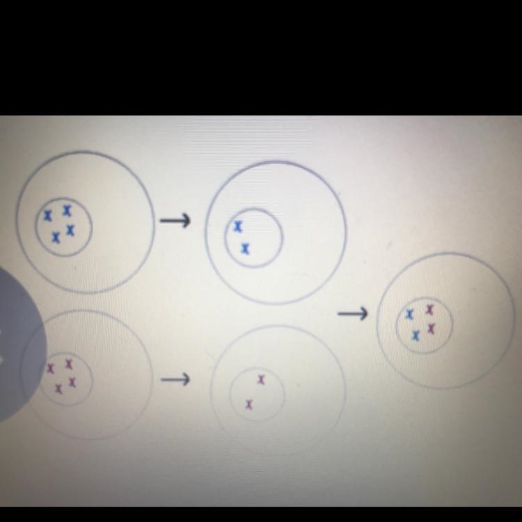 The picture below shows the reproduction of a single-celled organism. What type of-example-1