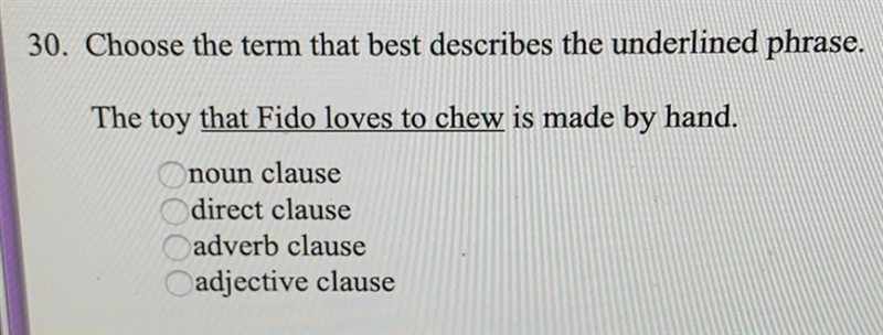 Choose the term that best describes the underlined phrase. (1 point) The toy *that-example-1