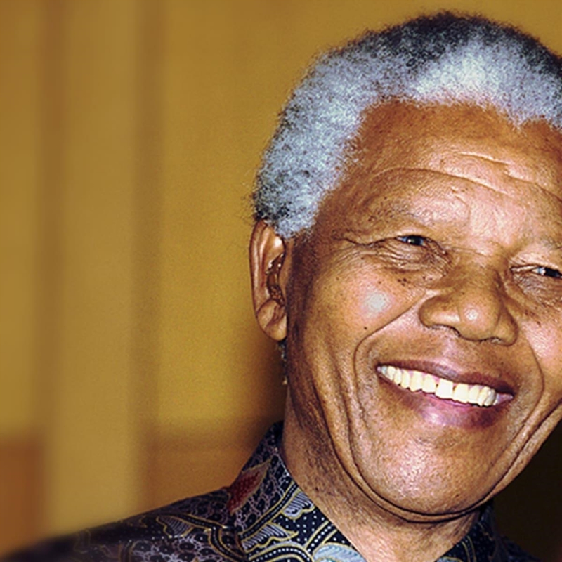 What did Nelson Mandela fight for?-example-1