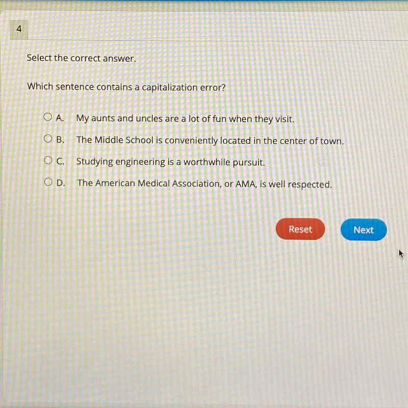 Which sentence contains a capitalization error?-example-1