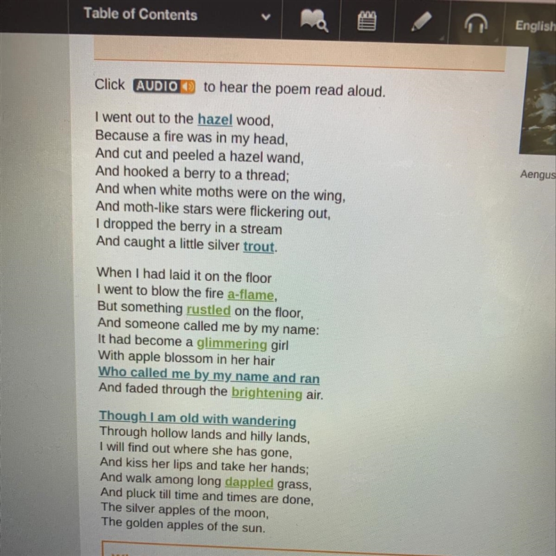 What does Wandering Aengus decide to do in the last stanza of the poem? A. go fishing-example-1