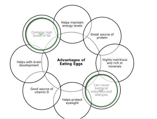 Mia is writing a paper on the advantages of eating eggs. To help organize the ideas-example-1