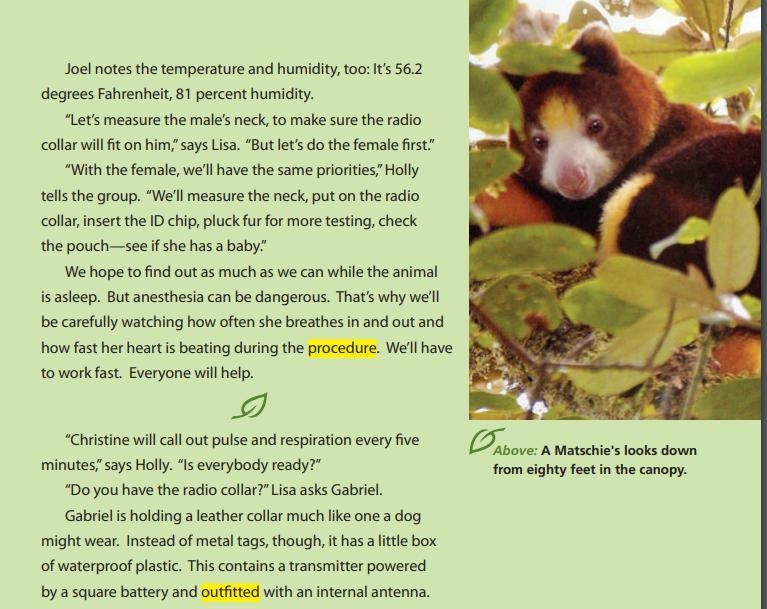 Why do the scientists have to measure the tree kangaroos' necks? A large neck is a-example-1