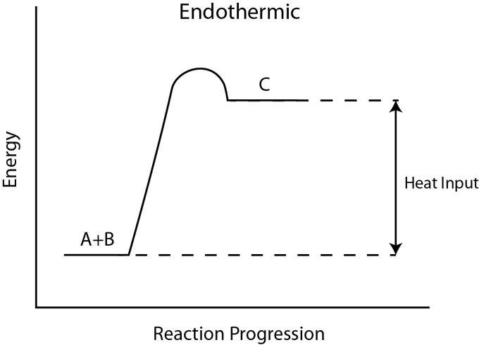 Which statement describes an endothermic reaction?-example-1