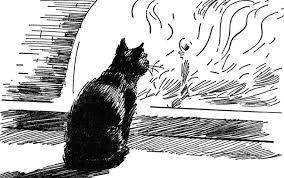 Identify a THEME of the story "The Black Cat," and provide at least two-example-1