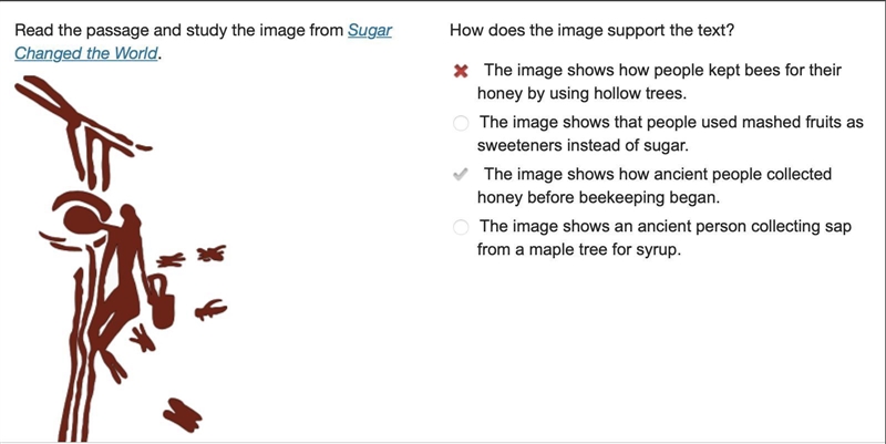 How does the image support the text? The image shows how people kept bees for their-example-1