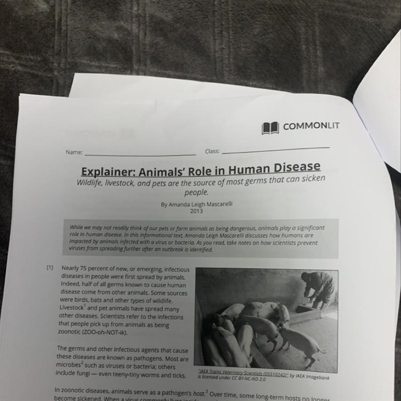 Question 4: What is the relationship between studying animal diseases and protecting-example-1