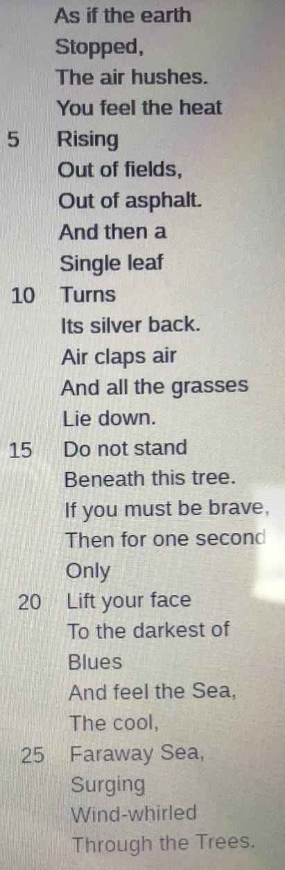 In lines 13,14 “when all the grasses lie down” the weather is A)humid B)calm C)sunny-example-1