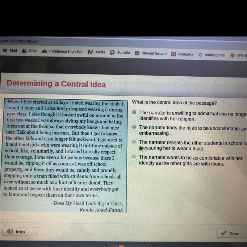 What is the central idea of the passage from does my head look big in this-example-1