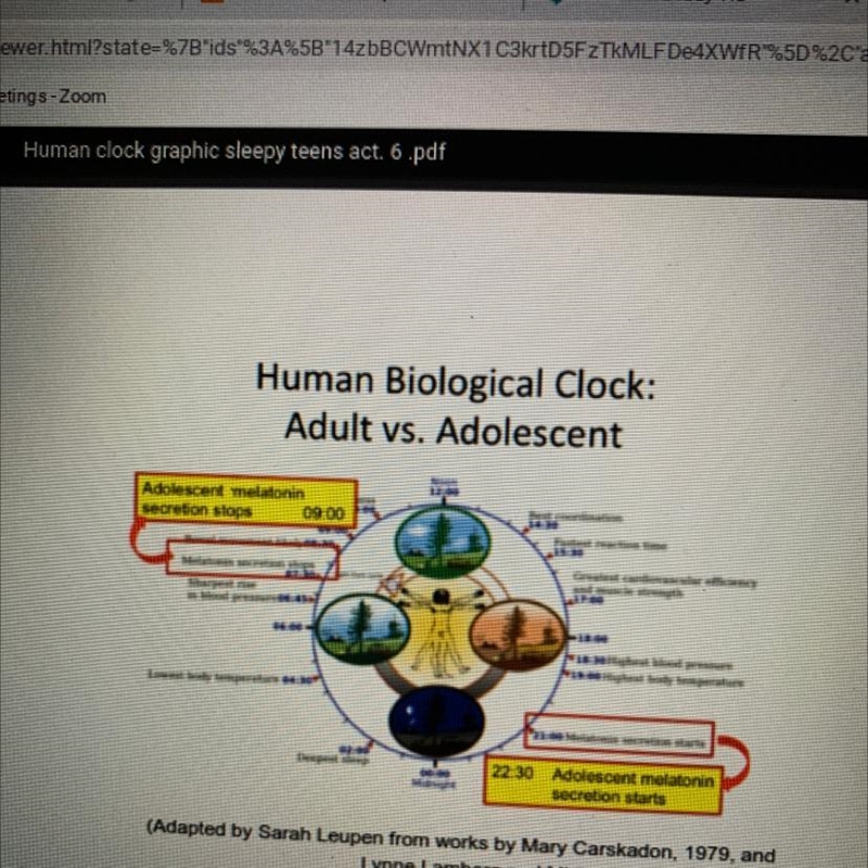 What is the difference between the adult's body and an adolescents?-example-1