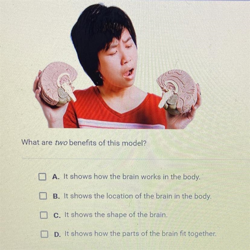 Please help 6th grade science!!!! The student is holding a model of the human brain-example-1