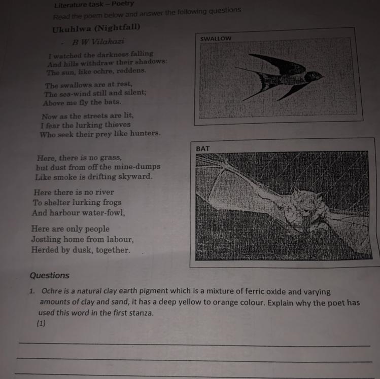 Please help me with a literature task :((-example-1