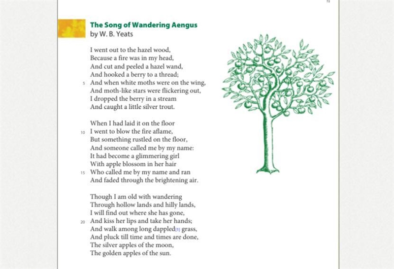 Plz help The story :The Song of Wandering Aengus answer the following questions 1.what-example-1