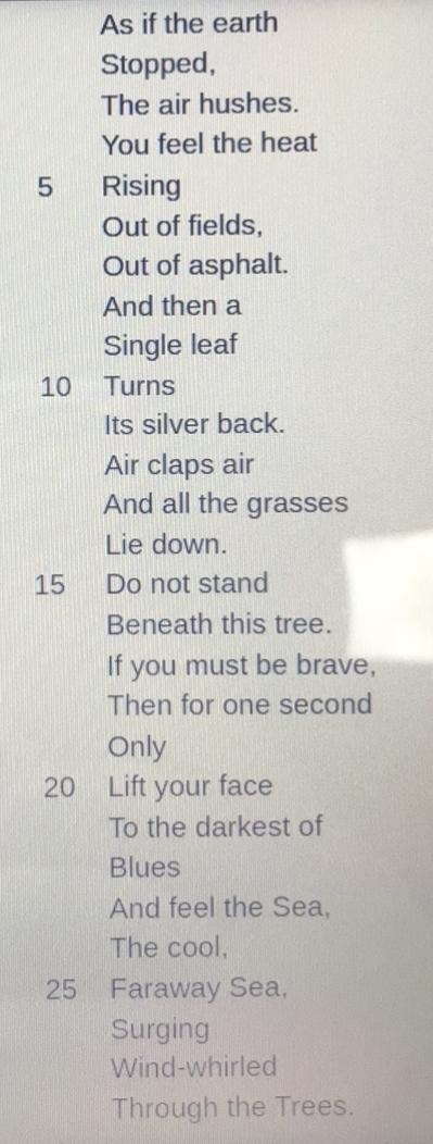 The narrator compares the sky to ?? A)the sea B)trees C)the wind D)grass-example-1