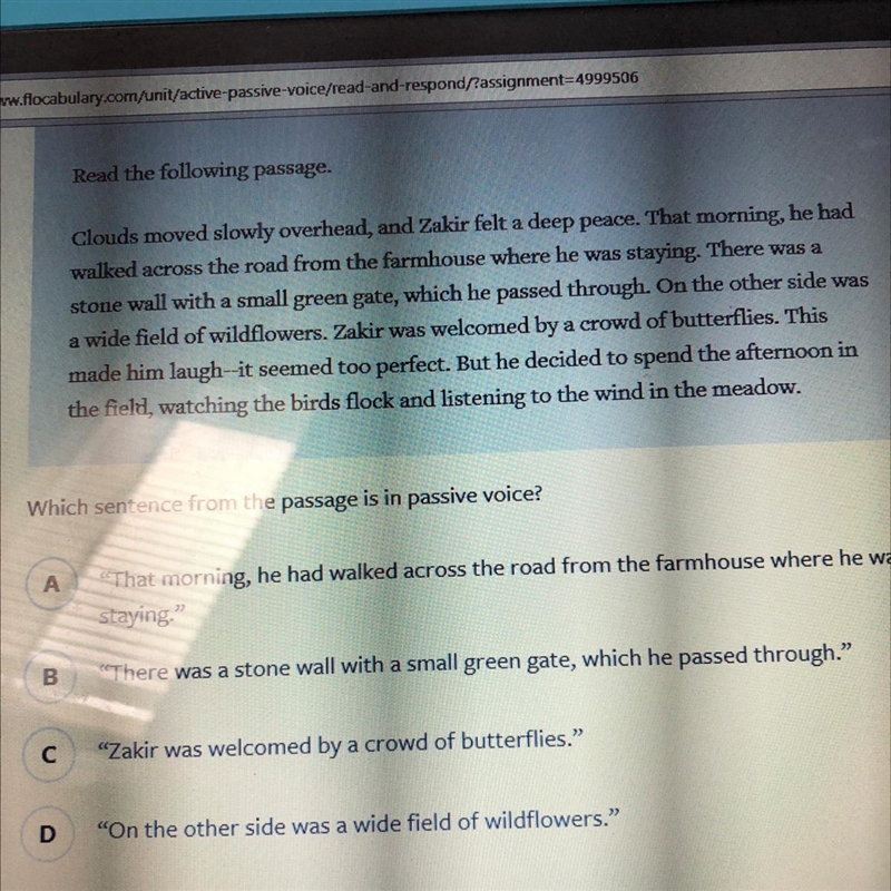 Which sentence from the passage is in passive voice?-example-1