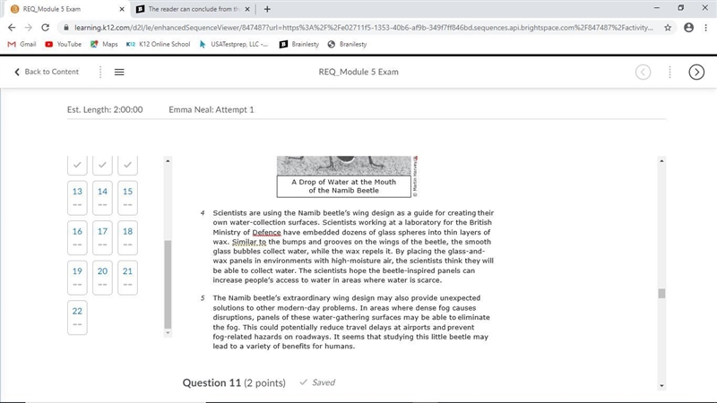 The reader can conclude from the details in paragraph 4 that Mestral — Question 13 options-example-1