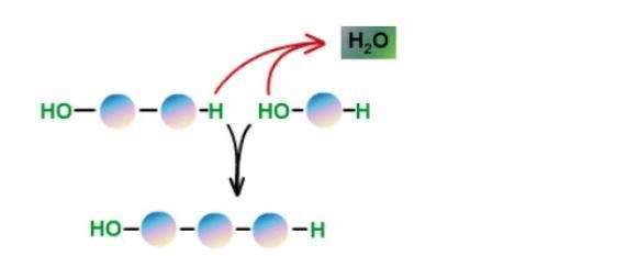 Can you help me please? What type of reaction is shown in this image AND what is the-example-1