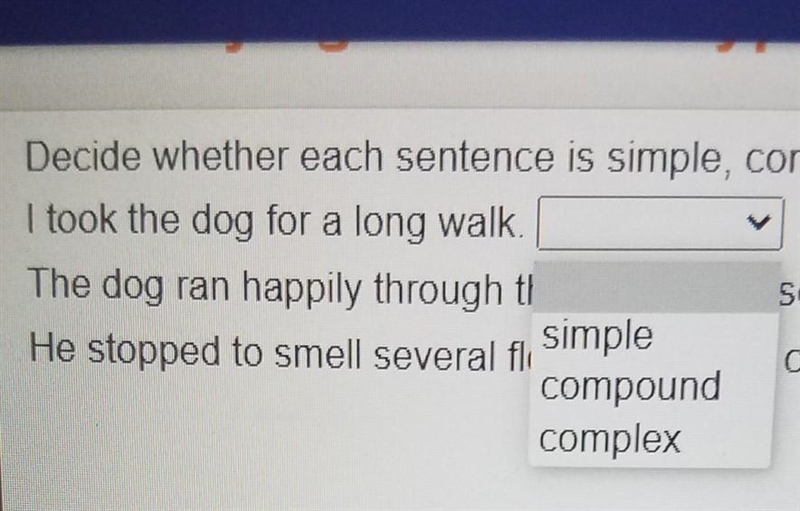 What is the answer for the dog question ​-example-1