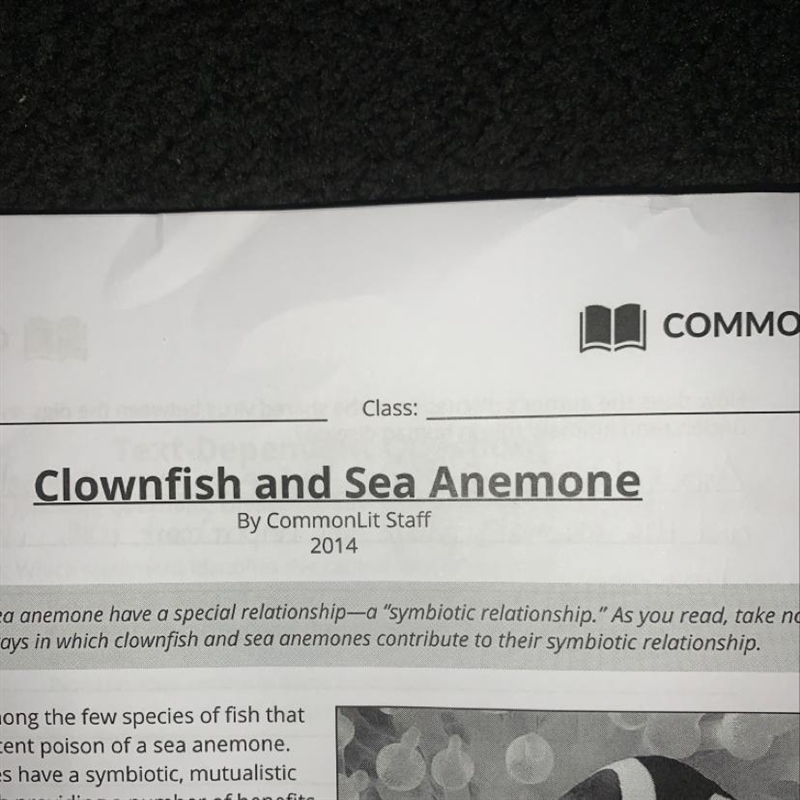 What is a symbiotic relationship, and how do clownfish and sea anemone embody that-example-1