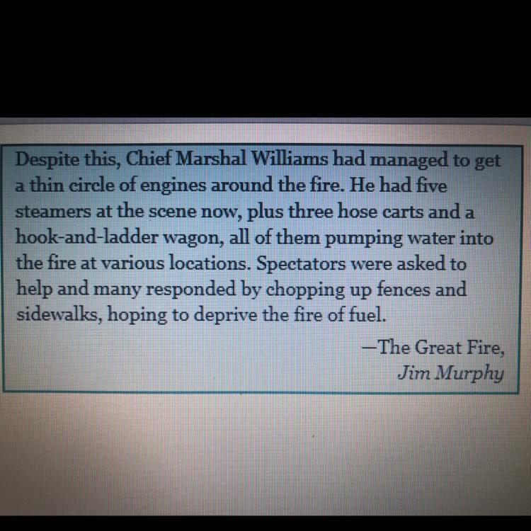 What is the central idea of this paragraph?-example-1