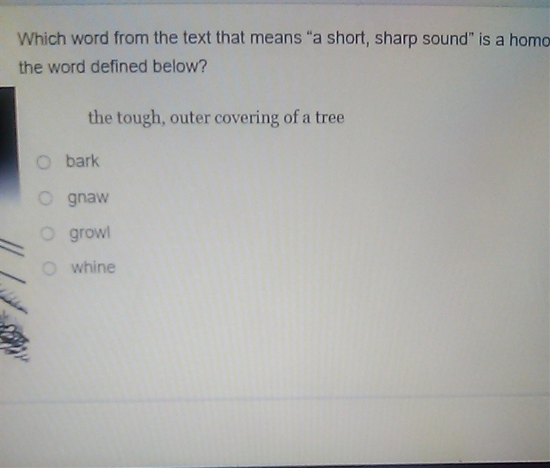 which word from the text that means "a short sharp sound" is a homograph-example-1