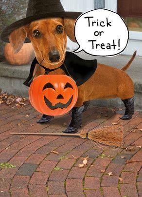 Have a great day and stay safe this Halloween-example-1