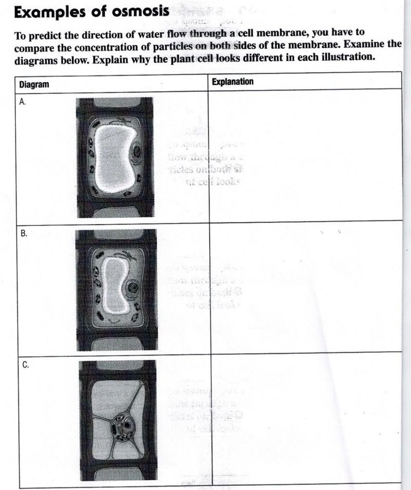 Plsgive !e this answer pls​-example-1