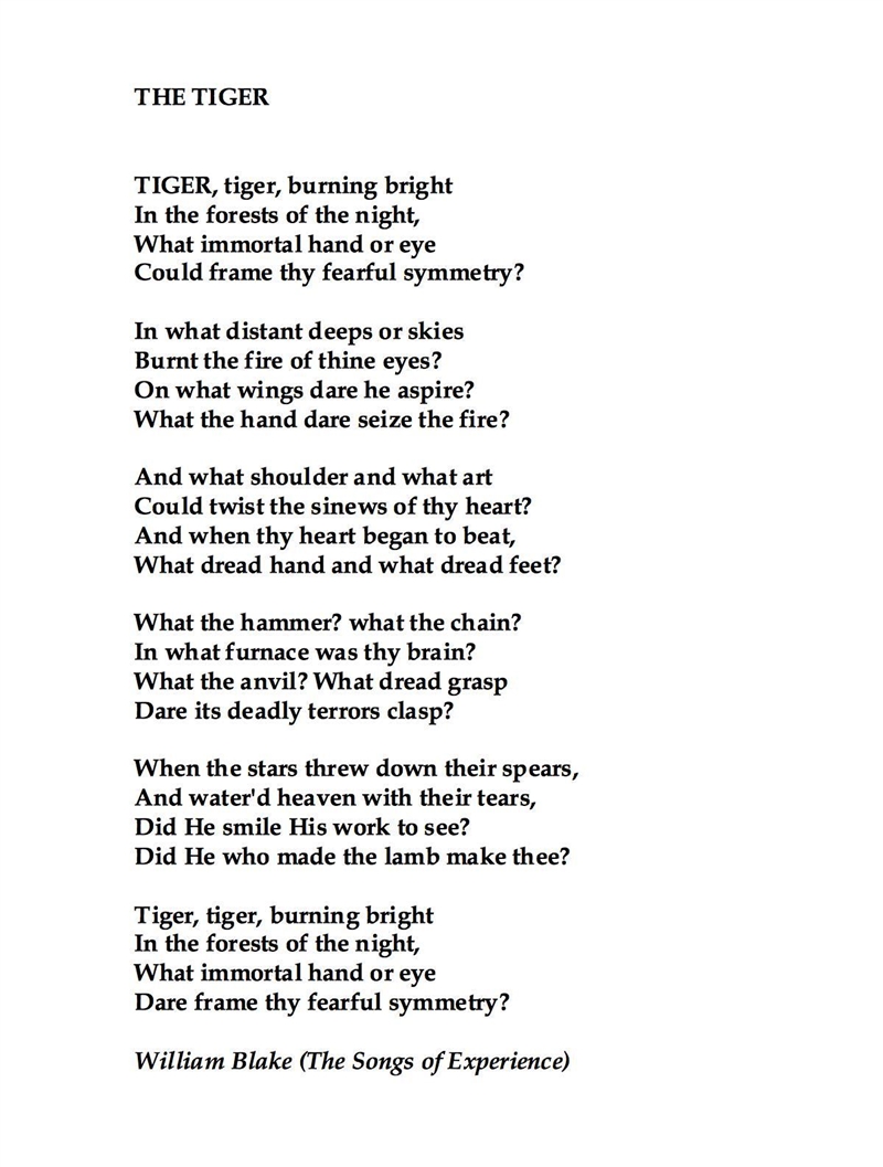 Paraphrase the poem tyger by william blake-example-1