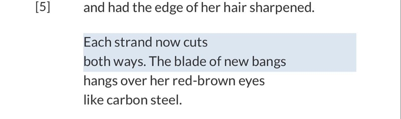 In the story “THE POSSESSIVE” ... When describing her daughter’s haircut, the speaker-example-1