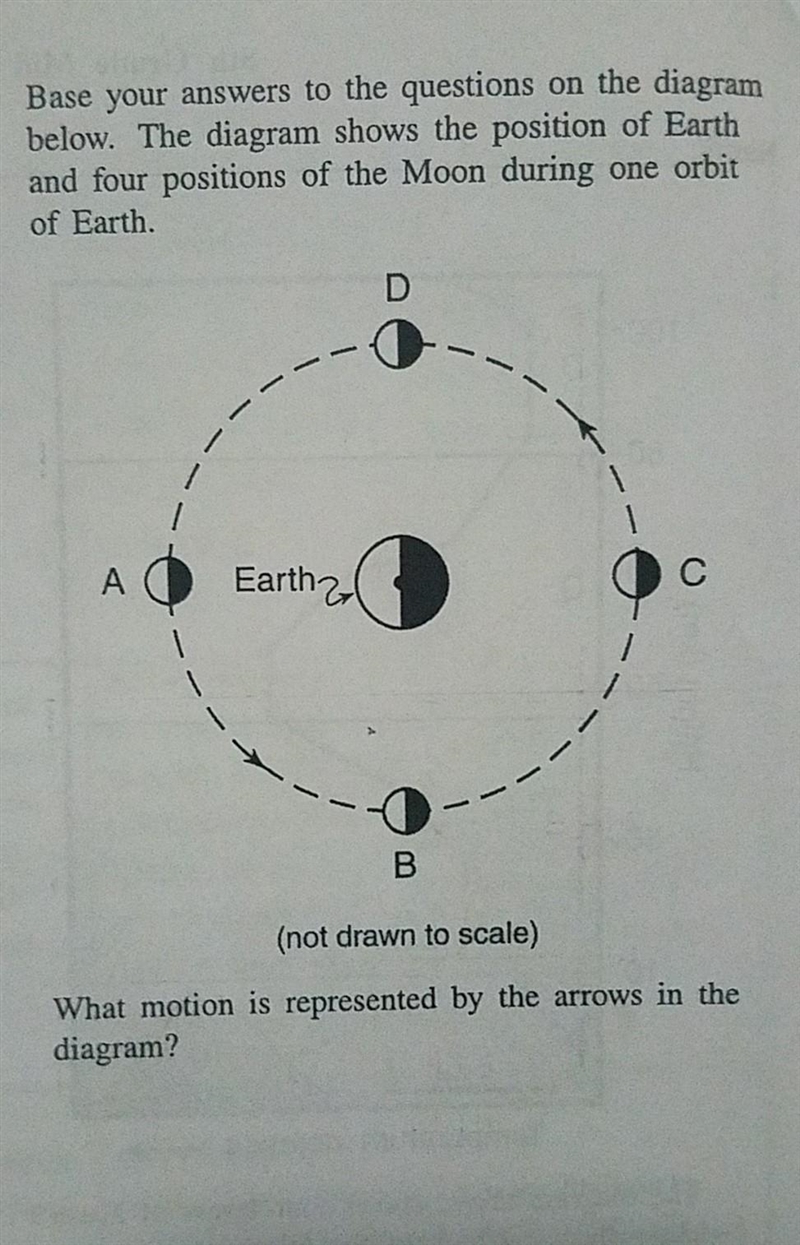 What motion is represented by the arrows in the diagram?​-example-1