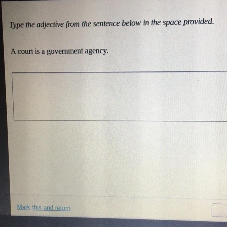 Type The adjective from the sentence below in the space provided A court is a government-example-1