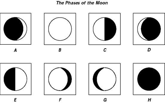 What are the phases shown in A and D called?-example-1