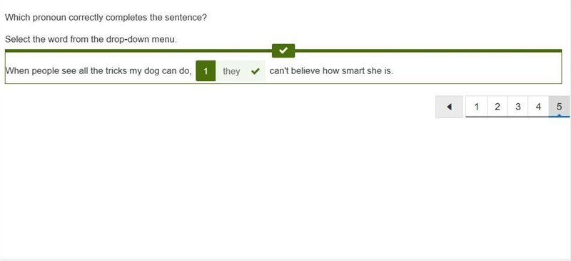 Which sentence uses an intensive pronoun correctly? Joel himself ate all the spaghetti-example-5