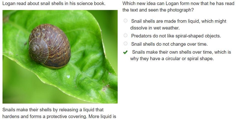 Logan read about snail shells in his science book. A snail shell on a leaf. Snails-example-1