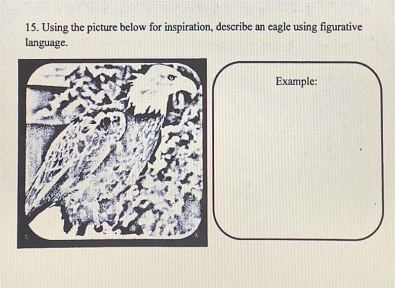 I need help with this pls!!-example-1