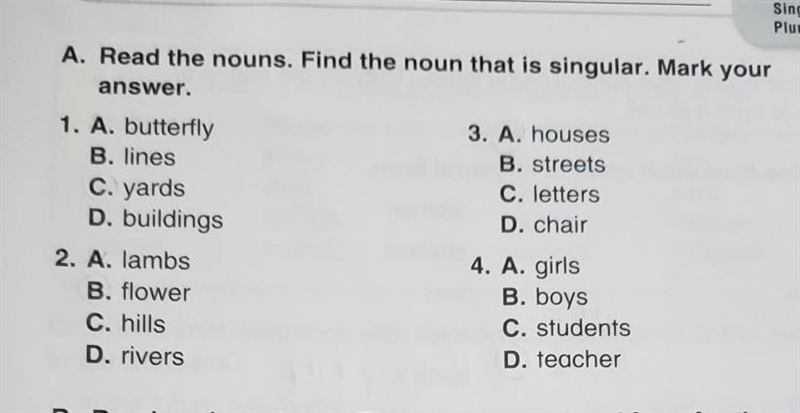 A. Read the nouns. Find the noun that is singular.​-example-1